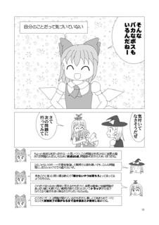 cirnosmec_010.jpg